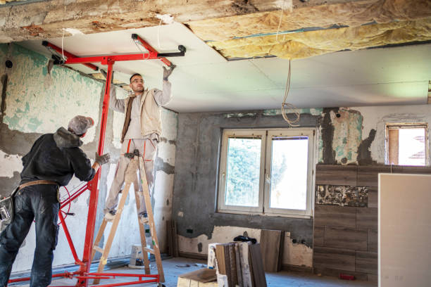 Best Commercial Insulation in Lonoke, AR