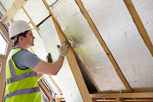 Best Energy Efficiency Solutions in Lonoke, AR